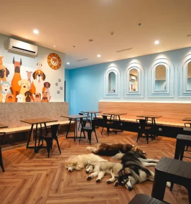 Dog Friendly Cafe