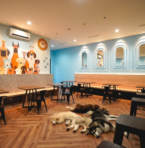 Dog Friendly Cafe